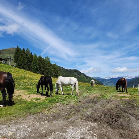 Lipphuette Top Lage Mit Traumhafter Aussicht Rauris Exterior photo